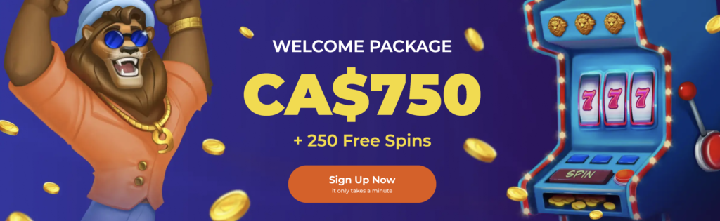 Nine Casino Welcome Offers and Promos